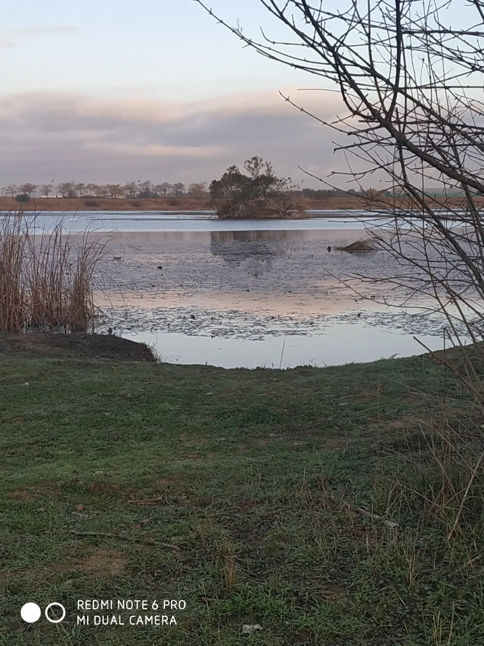 Laguna en calma al atardecer con una pequeña isla y un árbol reflejados en el agua