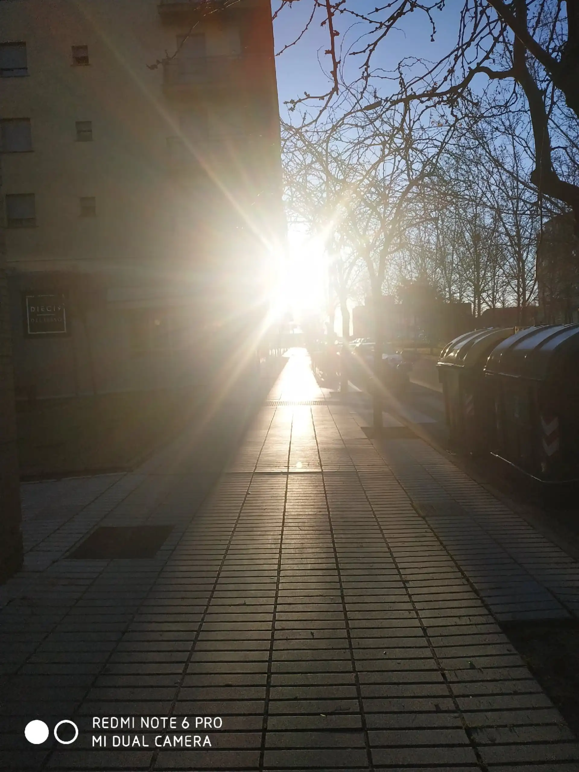 Calle a contraluz con el sol entre las ramas de los árboles y la acera iluminada
