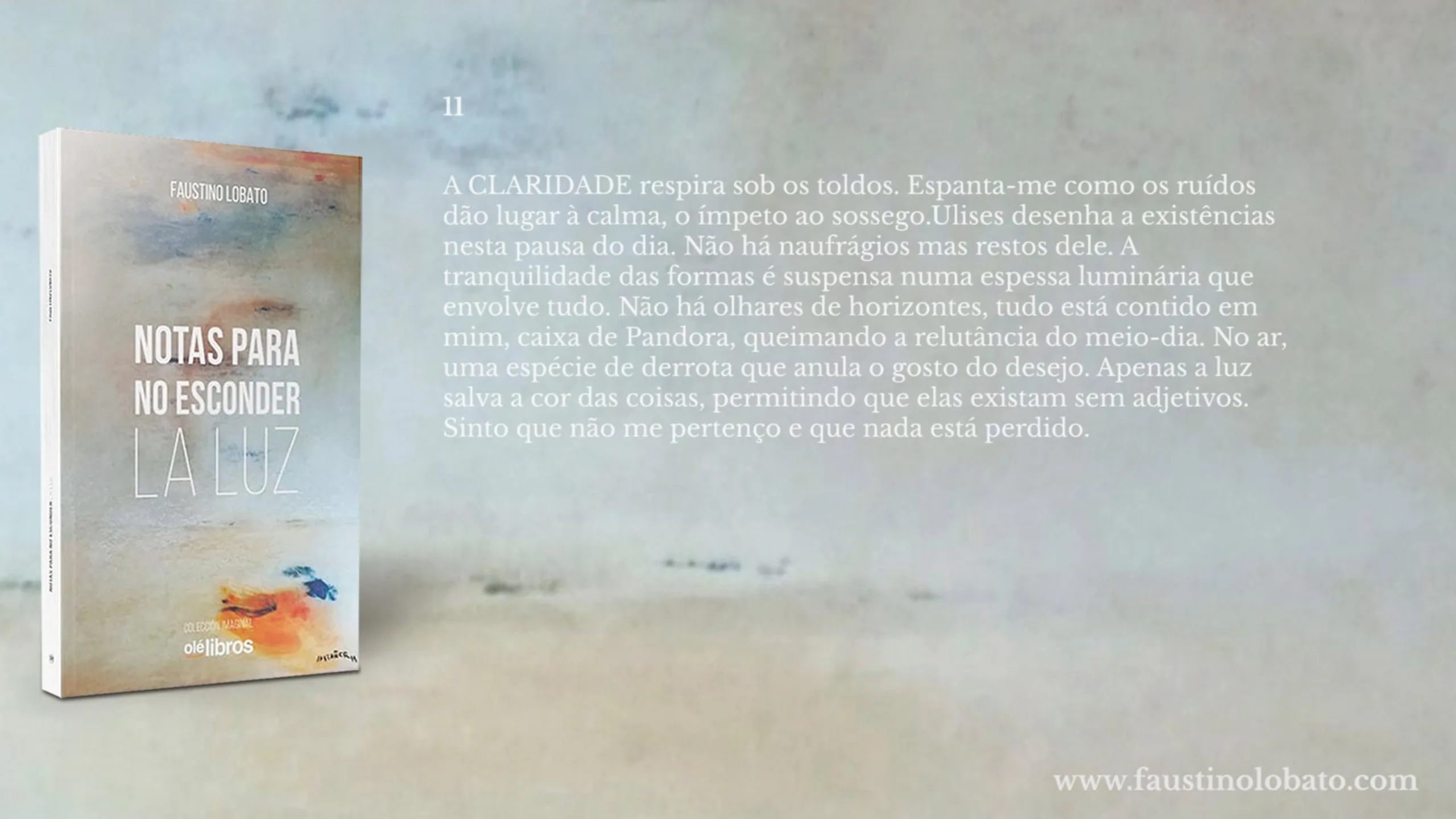 Diapositiva promocional del libro Notas para no esconder la luz con el poema 11 traducido al portugués, junto a la portada del libro