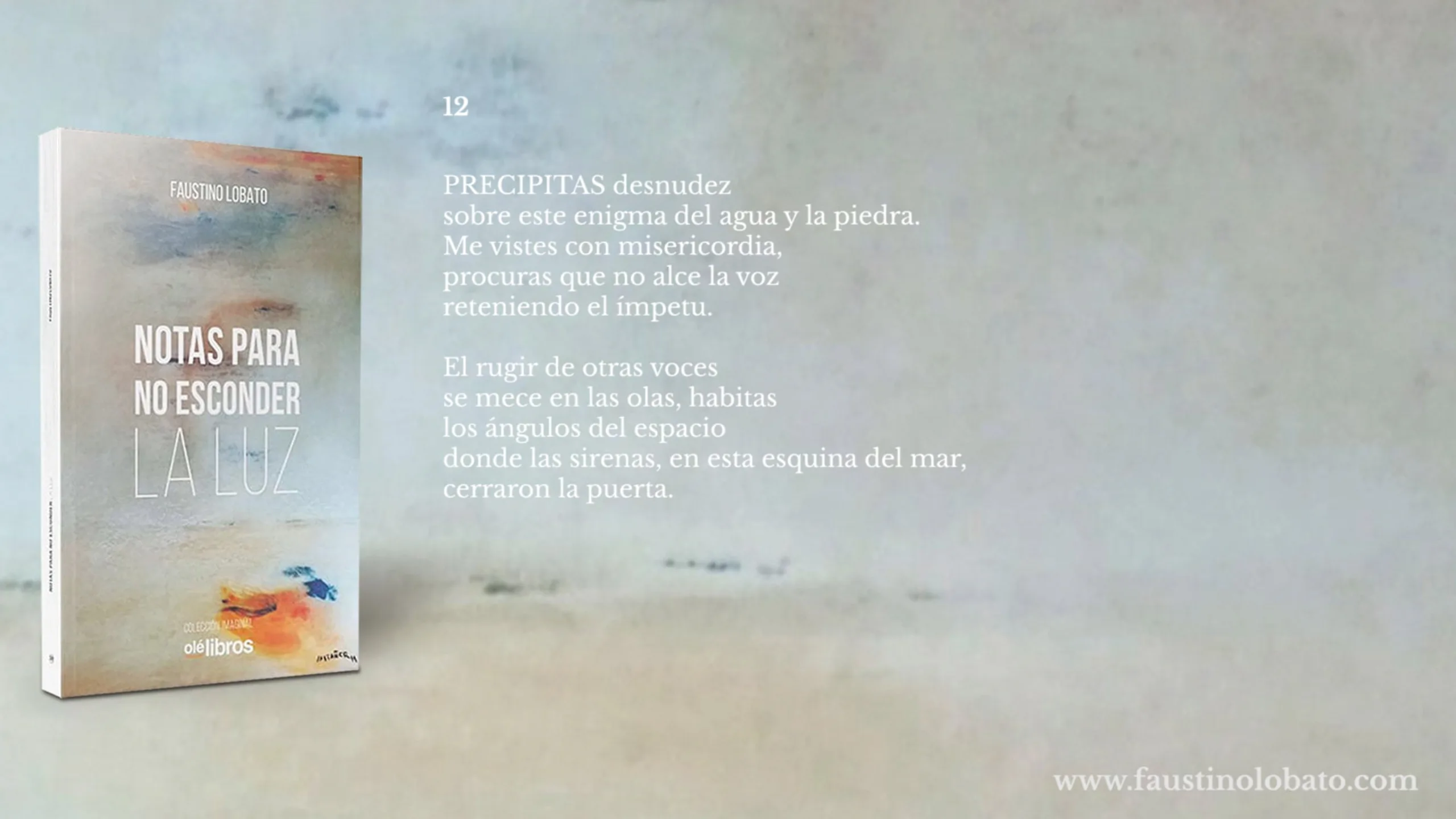 Diapositiva promocional del libro Notas para no esconder la luz con el poema 12, junto a la portada del libro