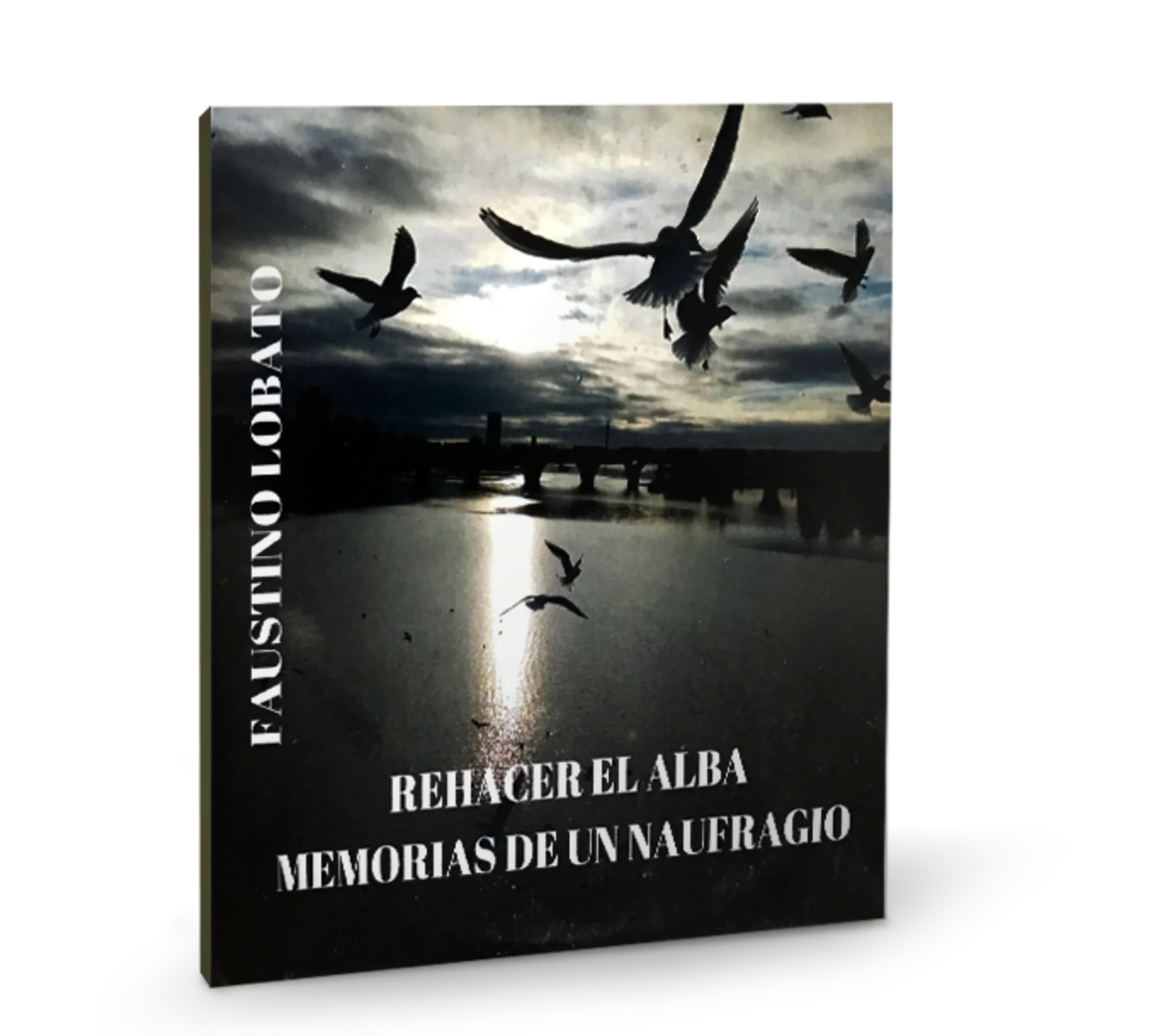 Portada del disco Rehacer el alba. Memorias de un naufragio, de Faustino Lobato, con gaviotas volando sobre un río al atardecer