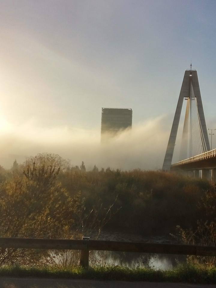 Puente atirantado y un edificio entre la niebla al amanecer