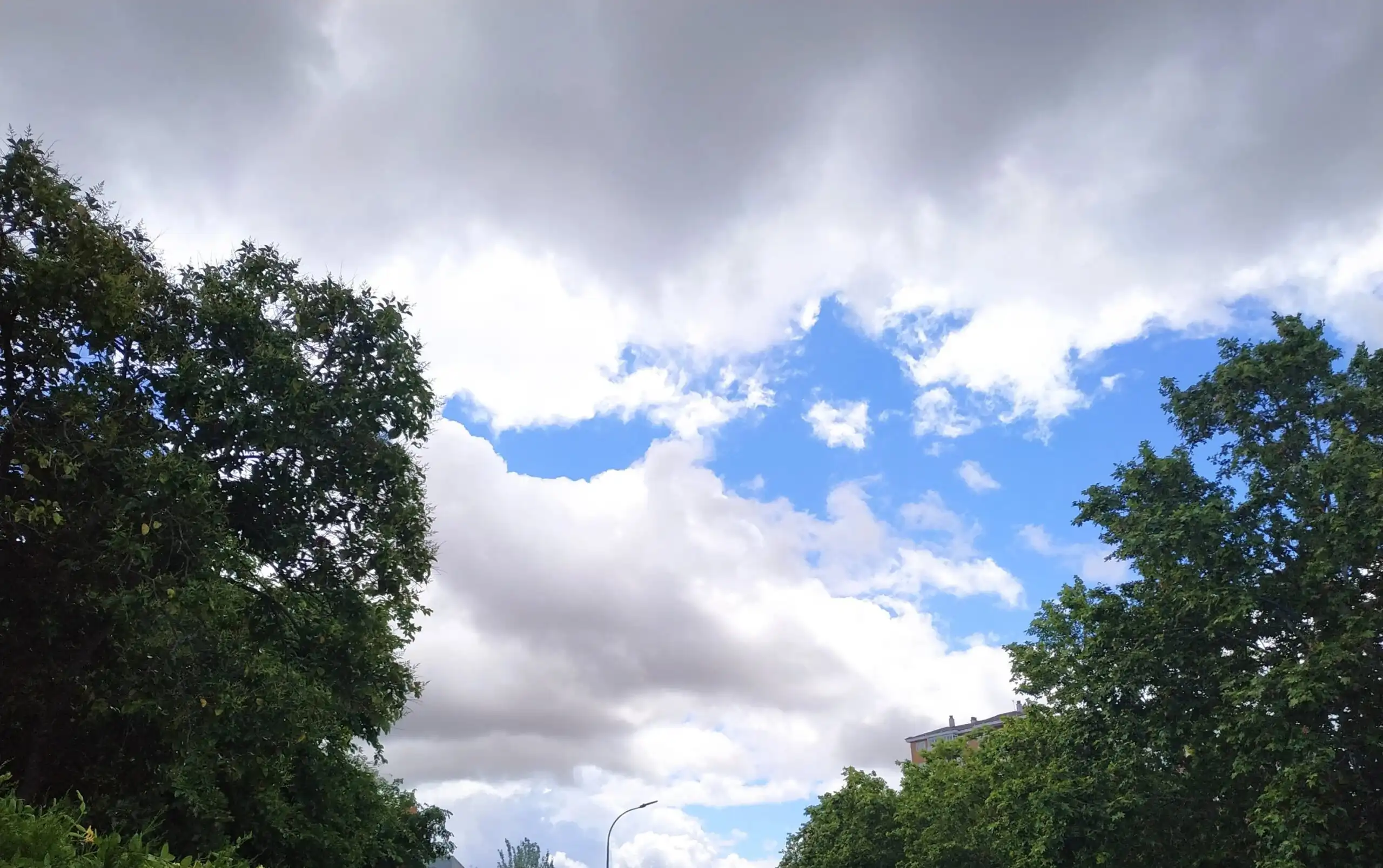 Cielo cubierto de nubes con un claro azul entre las copas de los árboles