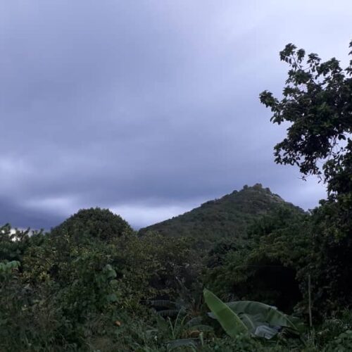Paisaje de montañas cubiertas de nubes bajas, con vegetación tropical en primer plano