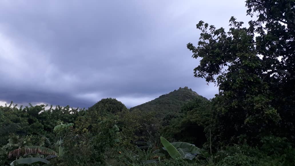 Paisaje de montañas cubiertas de nubes bajas, con vegetación tropical en primer plano
