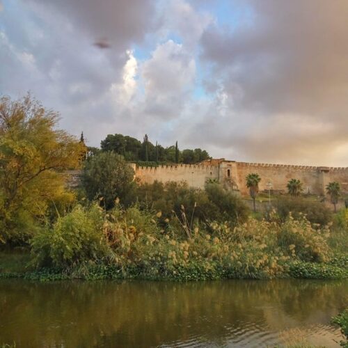Muralla antigua junto a un río, con vegetación y un cielo nublado al atardecer