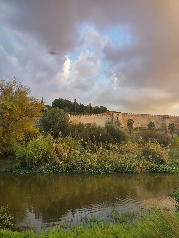 Muralla antigua junto a un río, con vegetación y un cielo nublado al atardecer